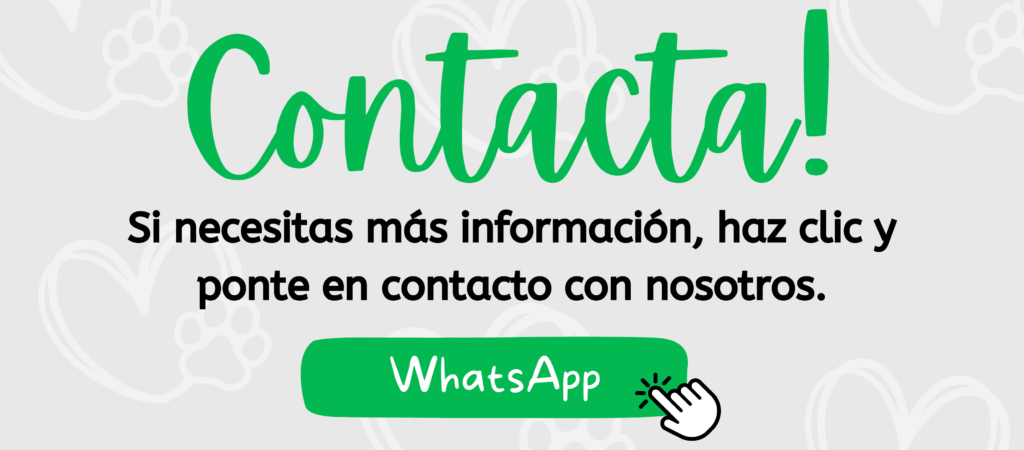 Corralet - WhatsApp (3)