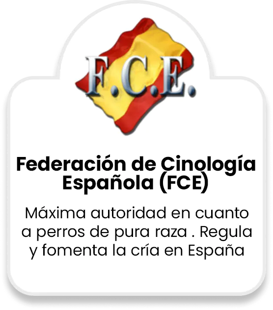 Federación de Cinología Española (FCE)