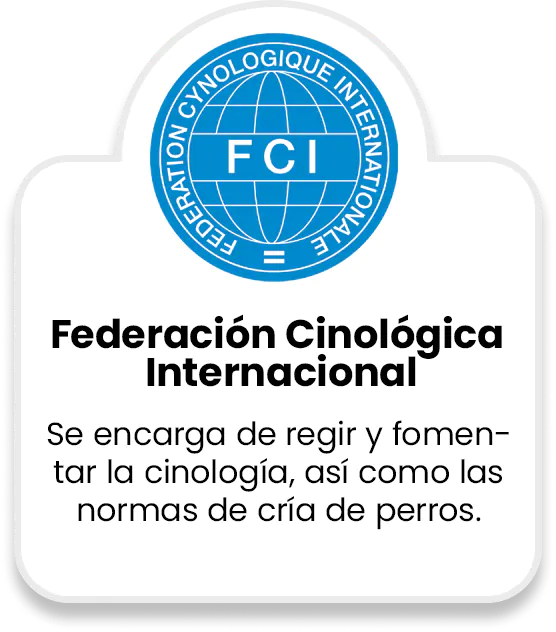 Federación Cinológica Internacional
