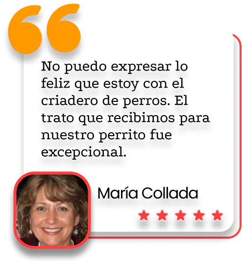 Opinión de María Collada